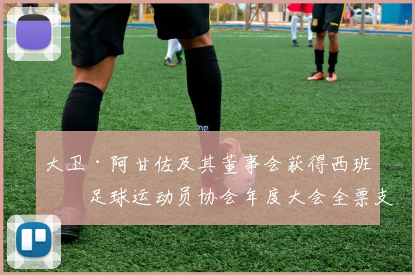 大卫·阿甘佐及其董事会获得西班牙足球运动员协会年度大会全票支持_网易订阅