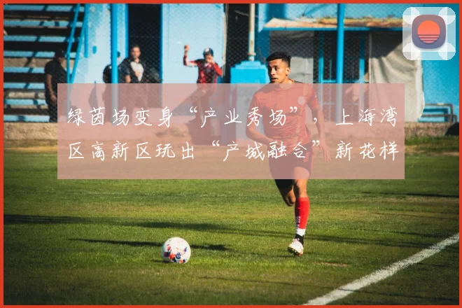 绿茵场变身“产业秀场”，上海湾区高新区玩出“产城融合”新花样
