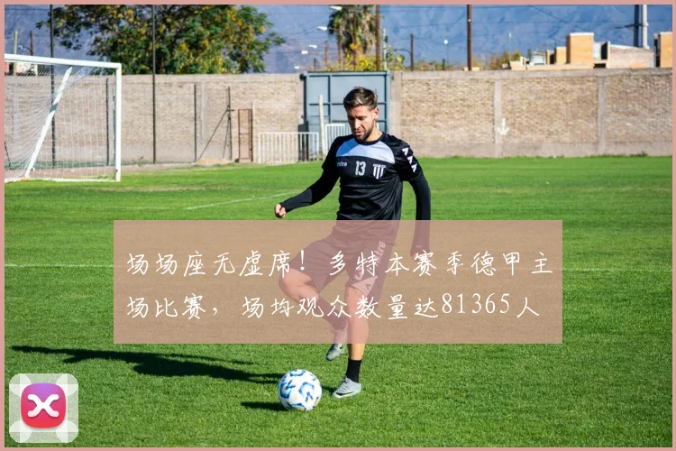 场场座无虚席！多特本赛季德甲主场比赛，场均观众数量达81365人