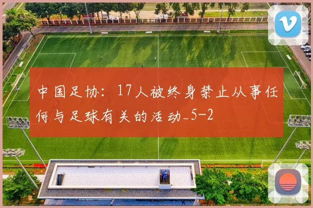中国足协：17人被终身禁止从事任何与足球有关的活动_5